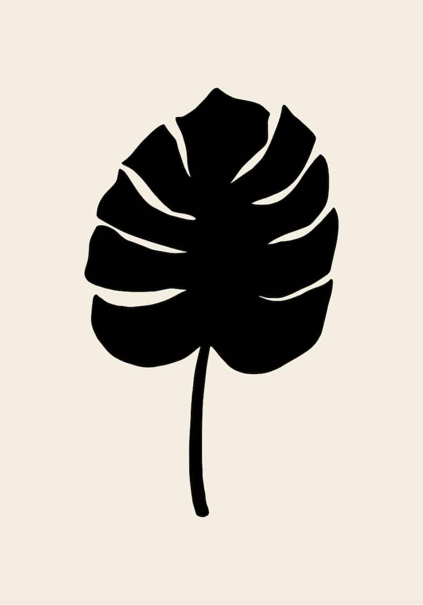 motive-image