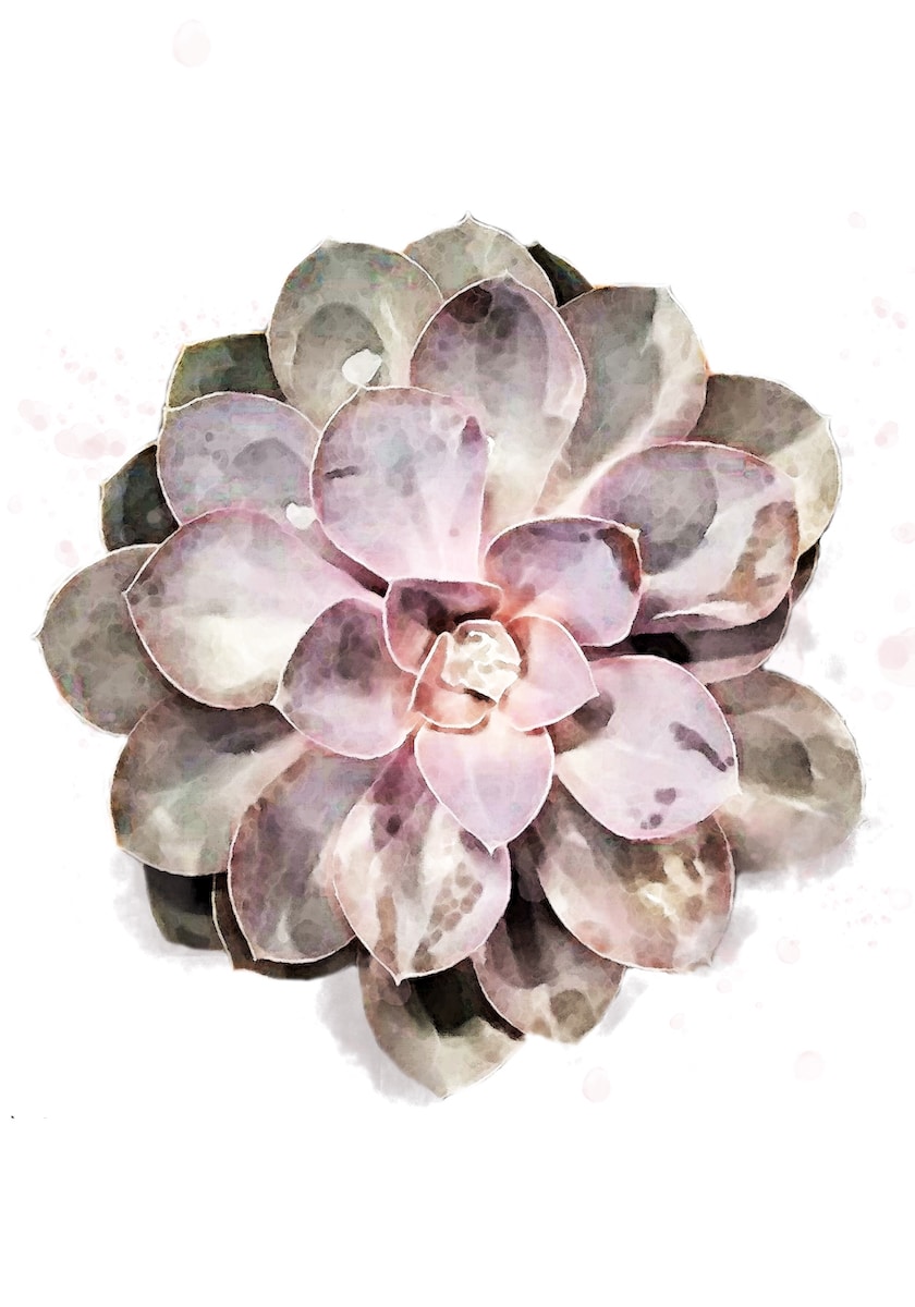 motive-image