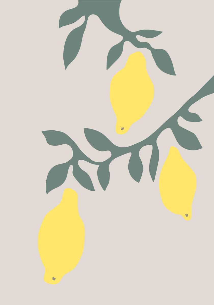 motive-image