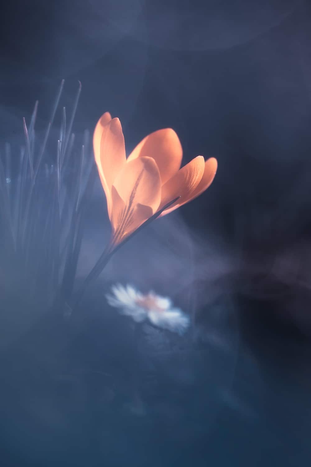 motive-image