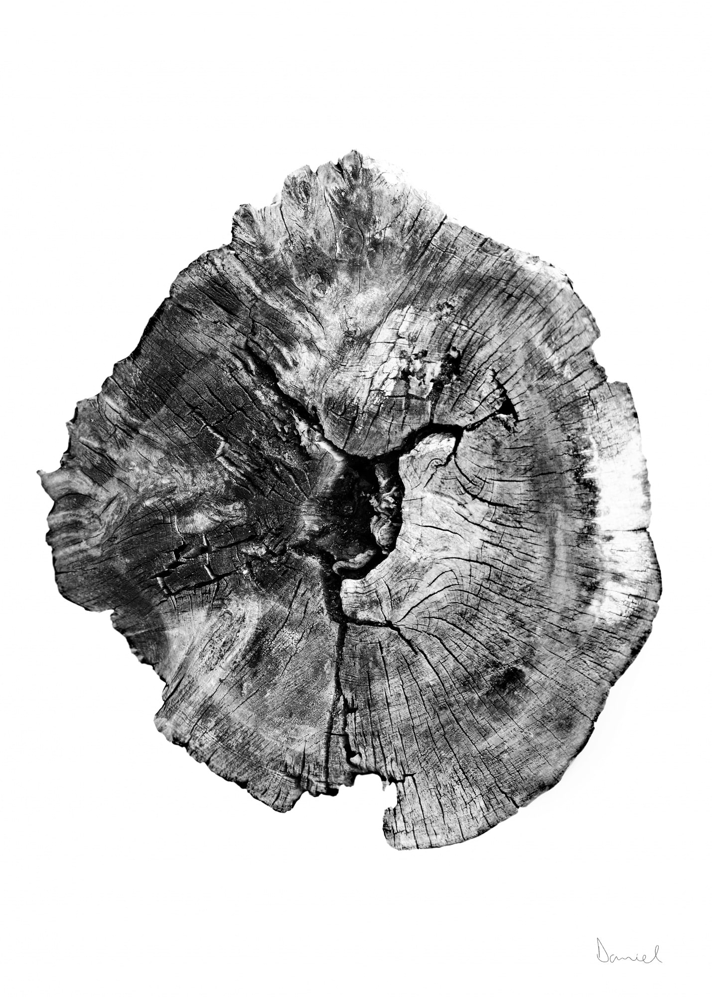 motive-image