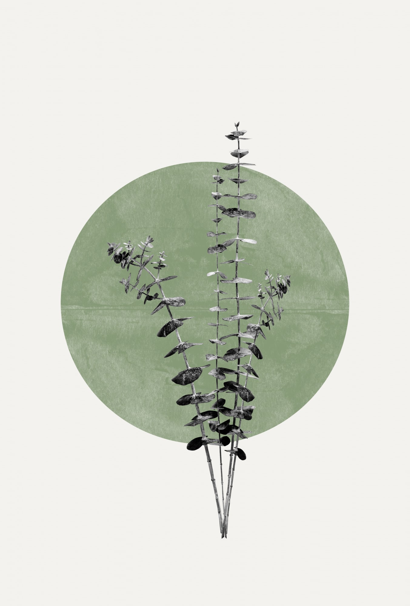 motive-image