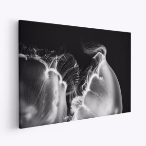 Lienzo - Whispers of Light