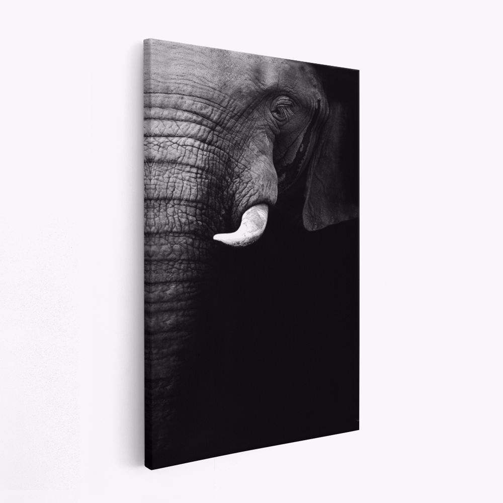 Lienzo - Elephant Portrait