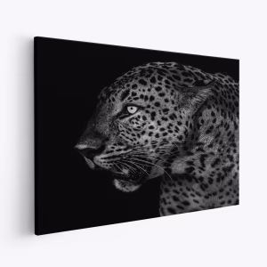 Lienzo - Leopard's Gaze