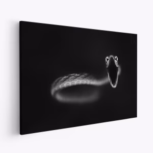 Lienzo - Vine Snake Strike