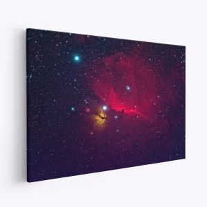 Lienzo - Horse head the dark Nebula