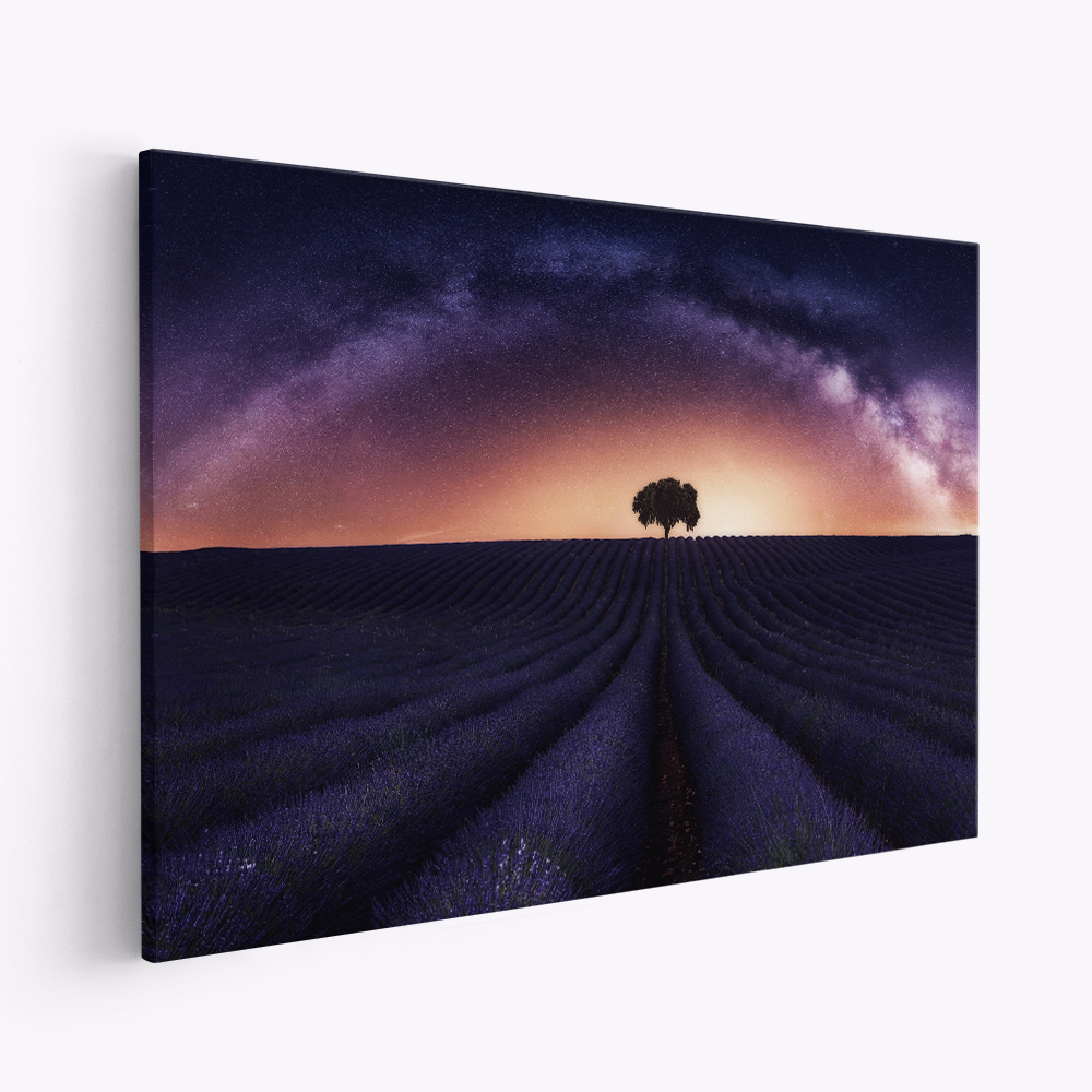 Lienzo - My lavander