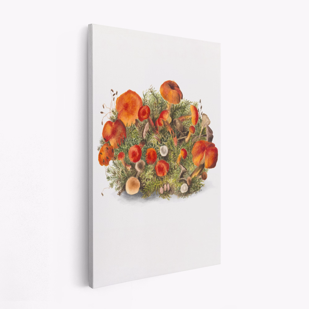 Lienzo - Study of Mushrooms (1880) Portrait Mode