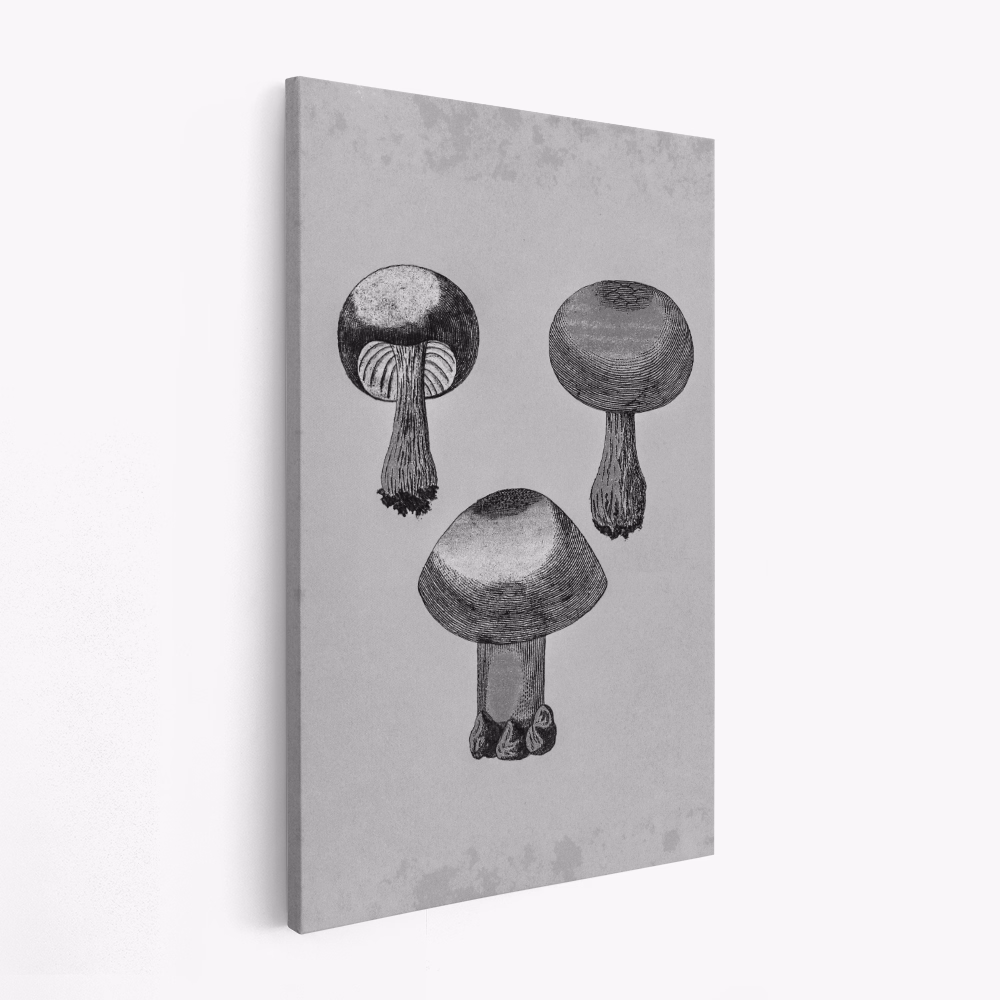 Lienzo - Violet Webcap Mushroom