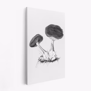 Lienzo - Vintage Violet Webcap Mushroom Bright BW