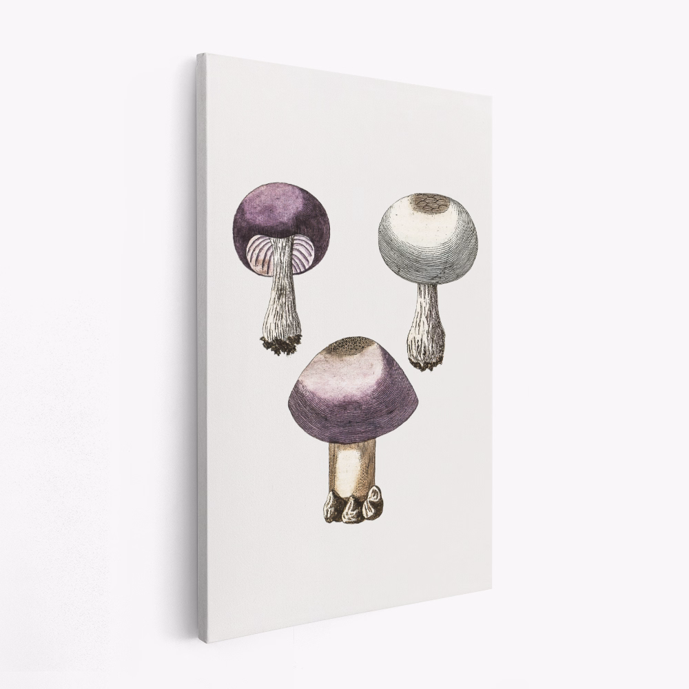 Lienzo - Hand Darwn Violet Webcap Mushroom