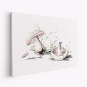 Lienzo - Hand Drawn Field Mushroom