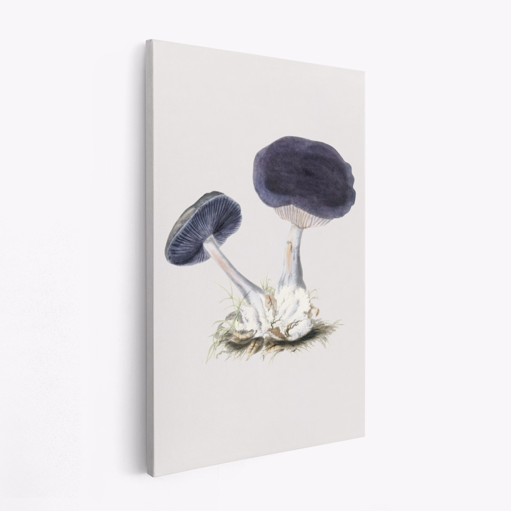 Lienzo - Vintage Violet Webcap Mushroom